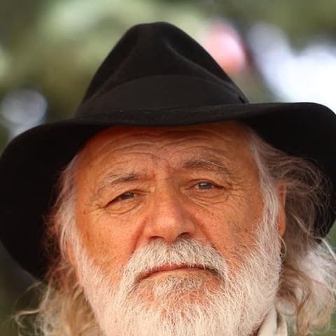 Rade Šerbedžija