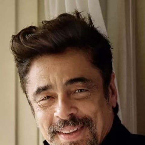 Benicio del Toro